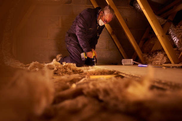 Best Insulation for Specific Applications in Lewes, DE